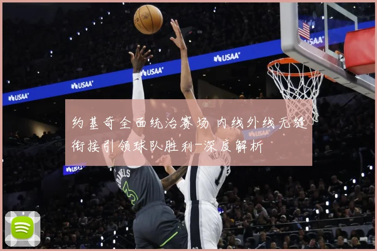 约基奇全面统治赛场 内线外线无缝衔接引领球队胜利-深度解析